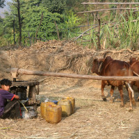 वार्ता गरी पाथीभरामा केबलकार निर्माण अघि बढाइने